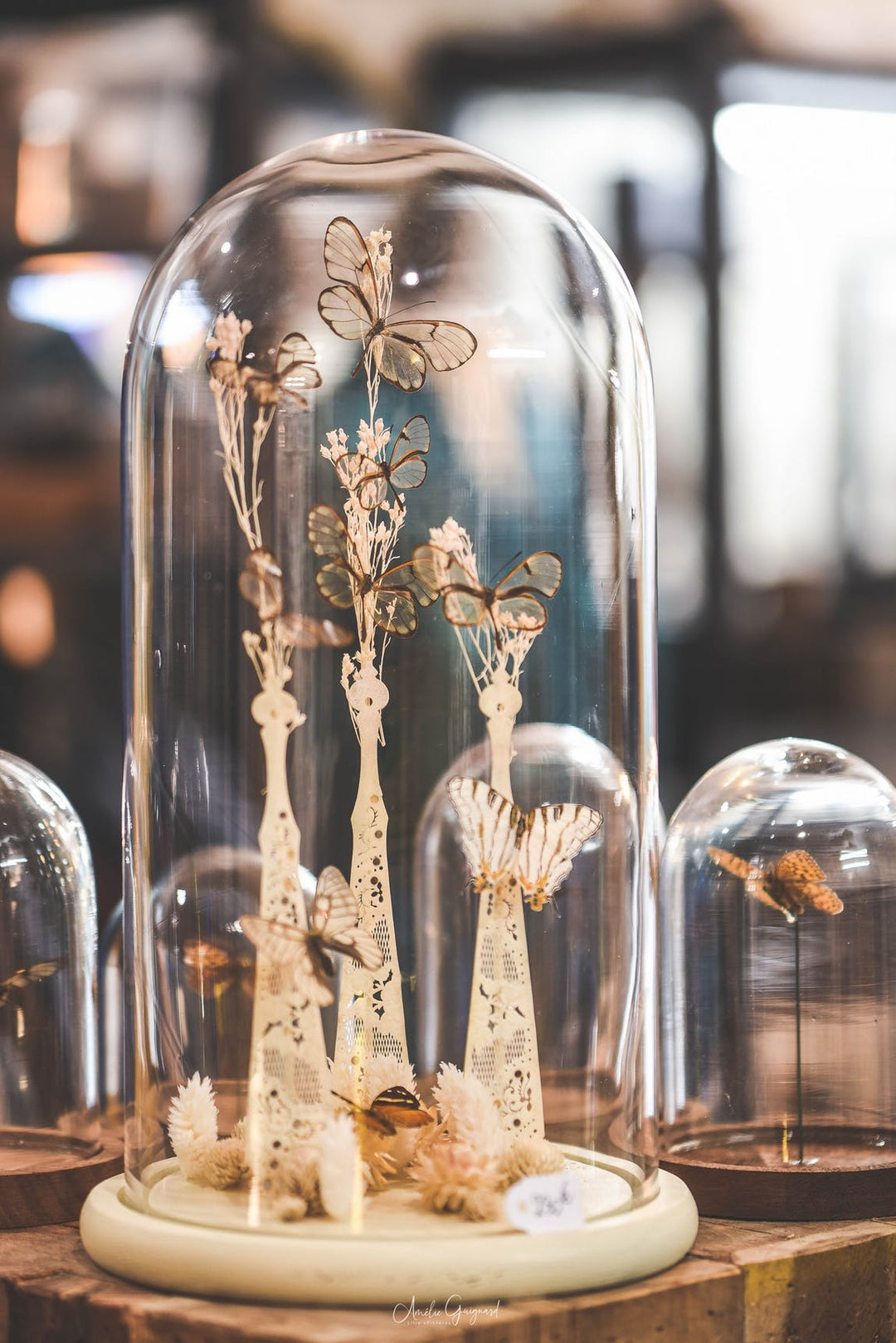Cloche En Verre Transparent – Sans Marque – Occasion – Déco Vintage